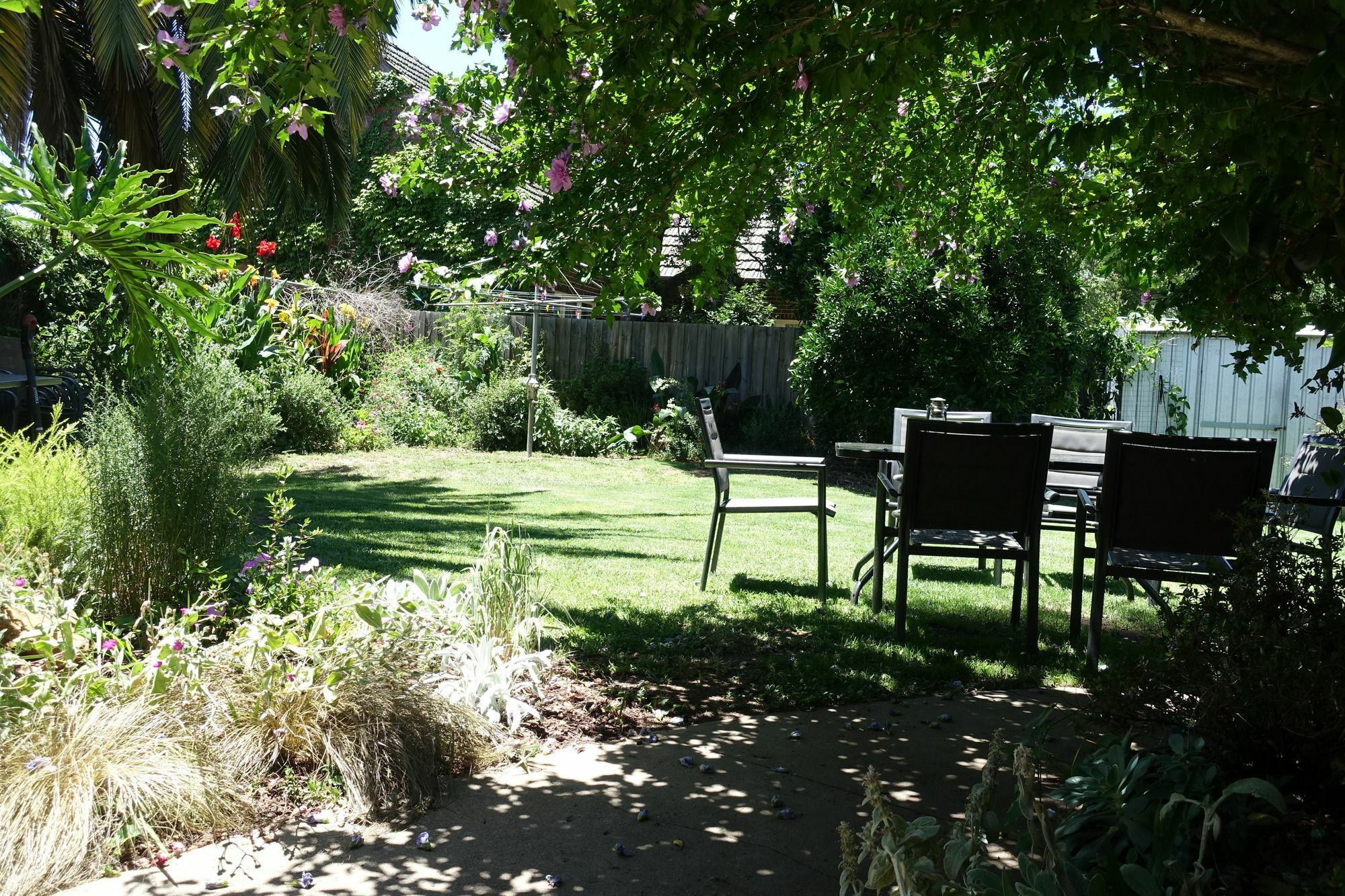 Benson House & Benson Lodge Benalla Exterior photo