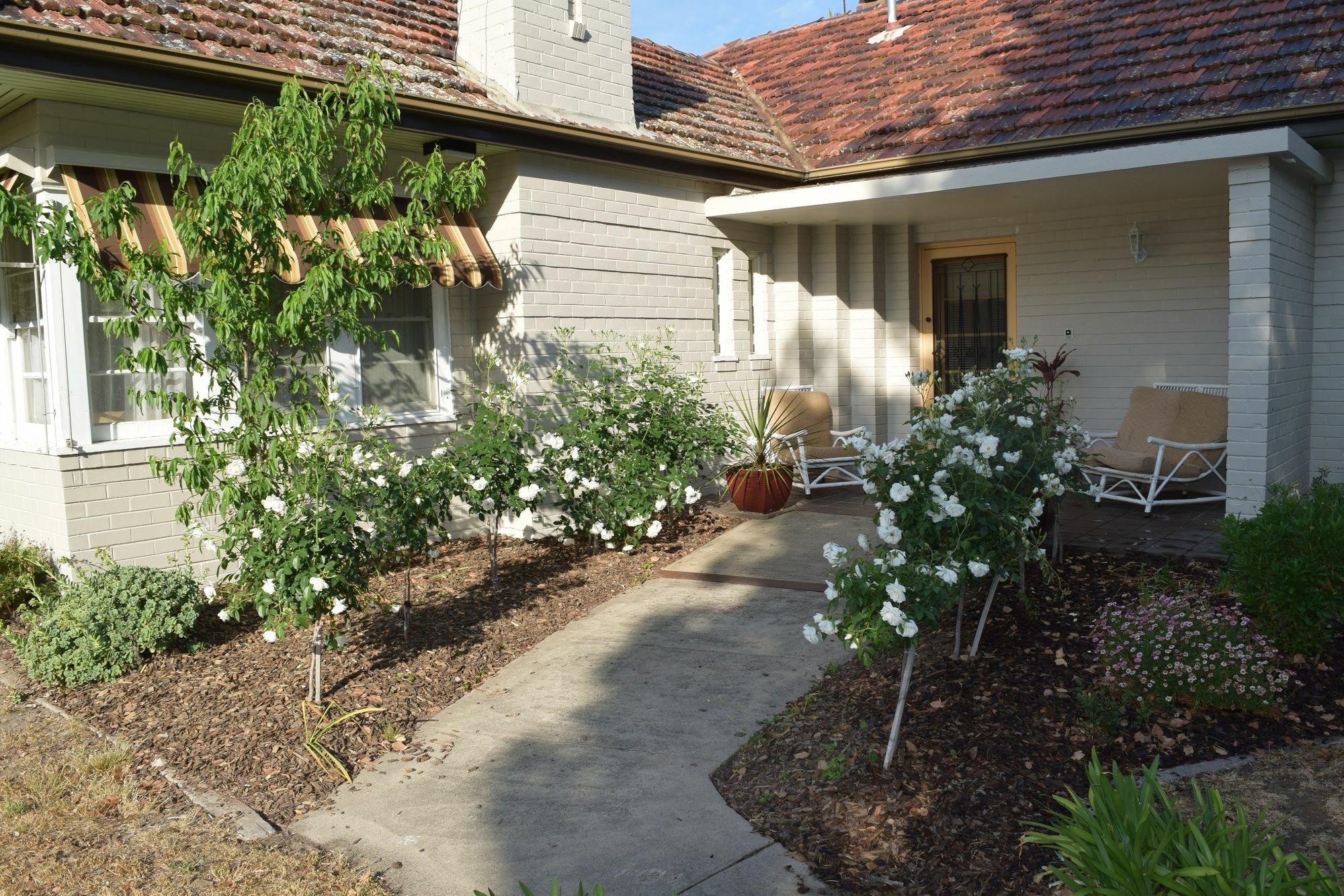 Benson House & Benson Lodge Benalla Exterior photo